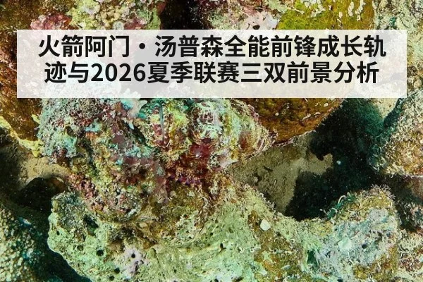 火箭阿门·汤普森全能前锋成长轨迹与2026夏季联赛三双前景分析