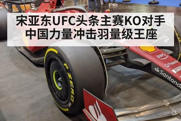 宋亚东UFC头条主赛KO对手 中国力量冲击羽量级王座