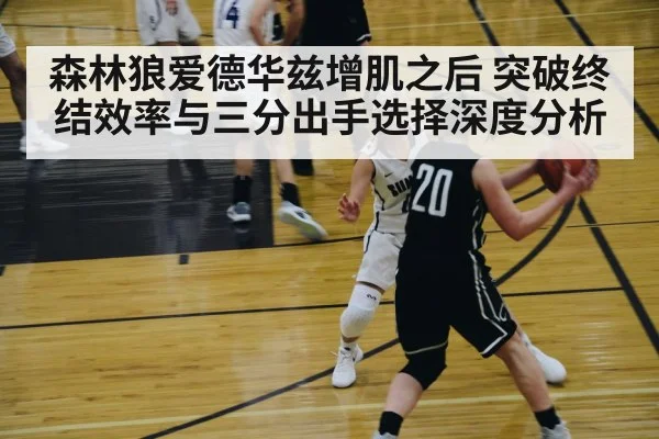 森林狼爱德华兹增肌之后 突破终结效率与三分出手选择深度分析